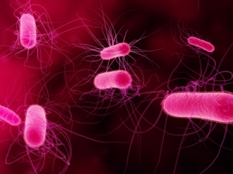 Влияят ли бактериите на настроението ни?