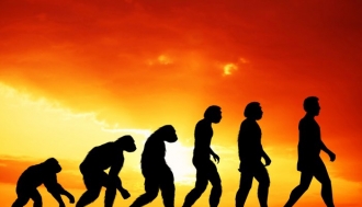 Как ни трансформира еволюцията