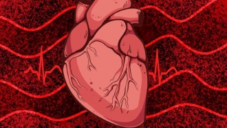 11 признака, че може да имате проблеми със сърцето