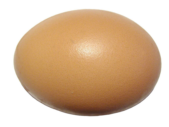 черупка на яйце
